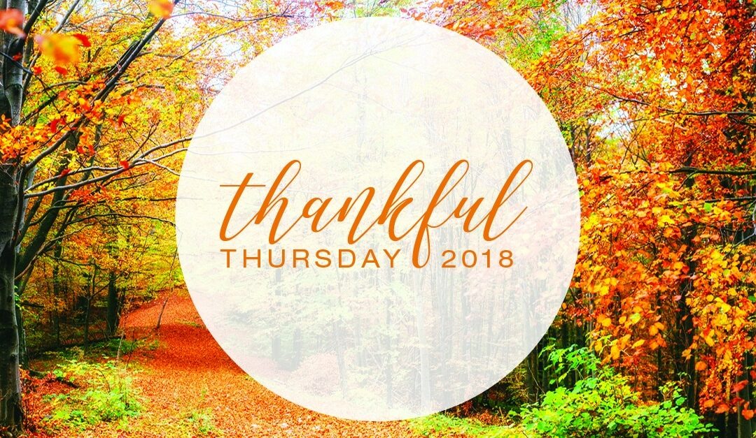 A Season for Reflection – Thankful Thursday