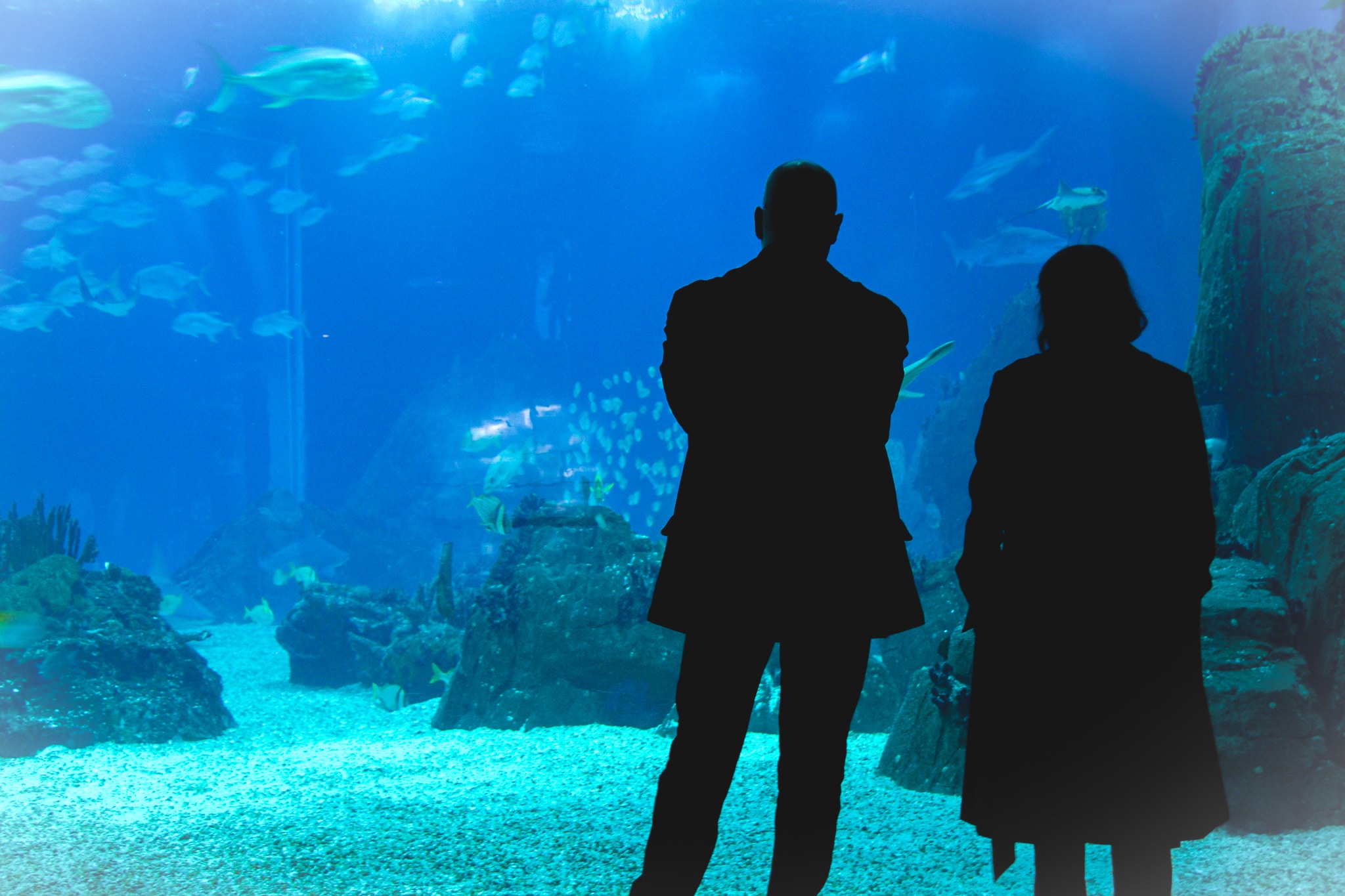 Two people standing in an aquarium