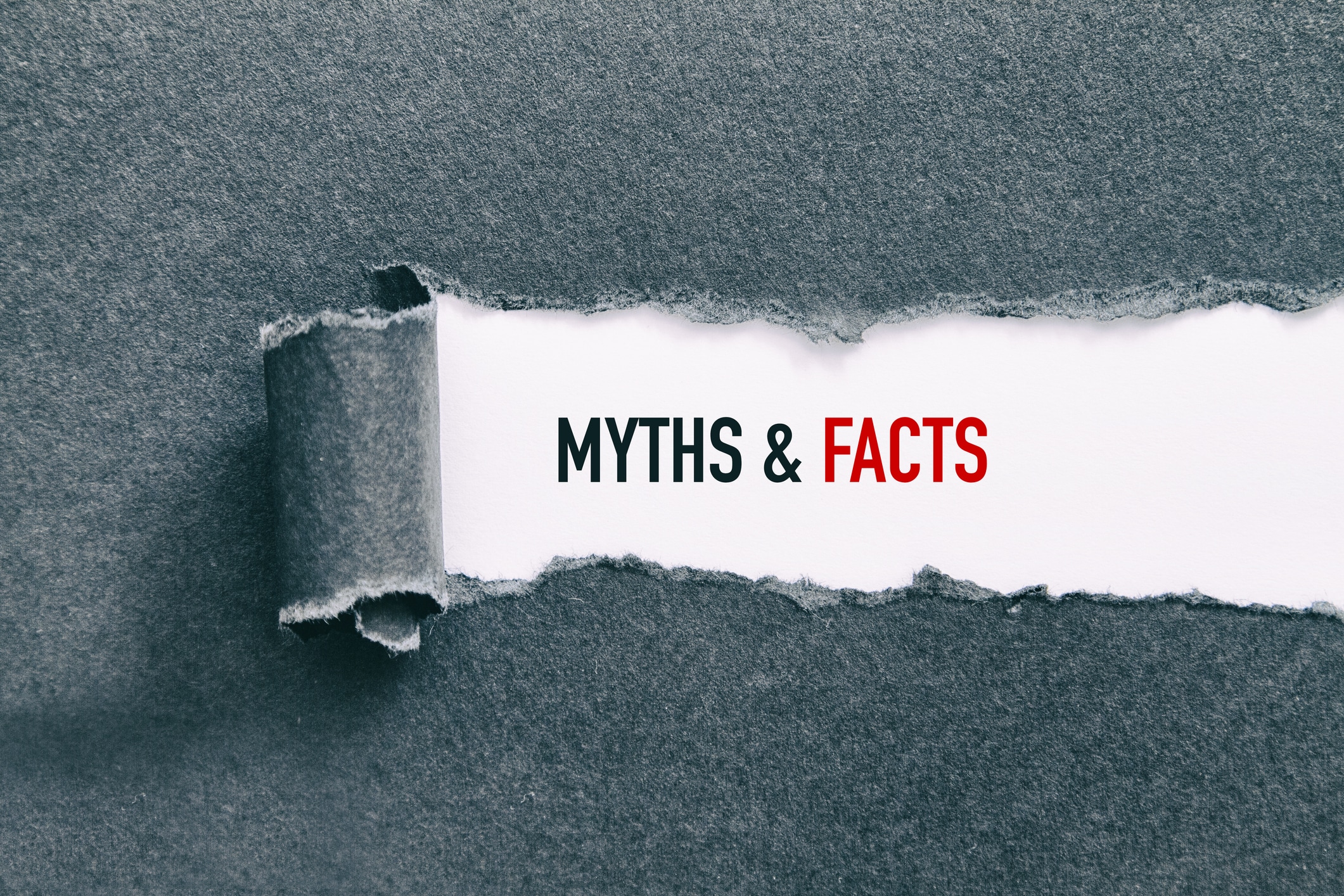 Fabric ripped away to review "Myths & Facts" with facts in red text