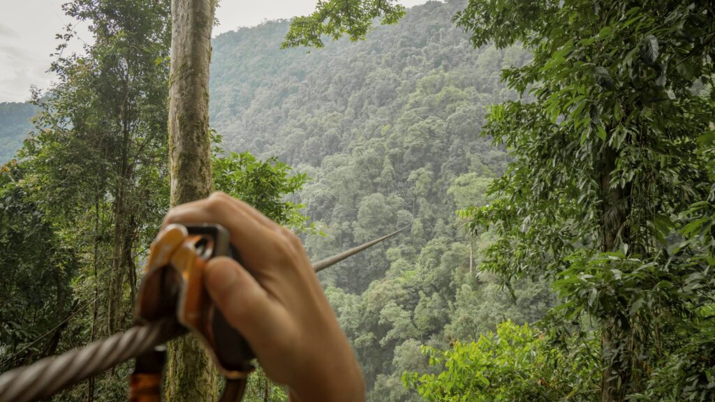 Hand grabbing a zip line connected to trees across a forest