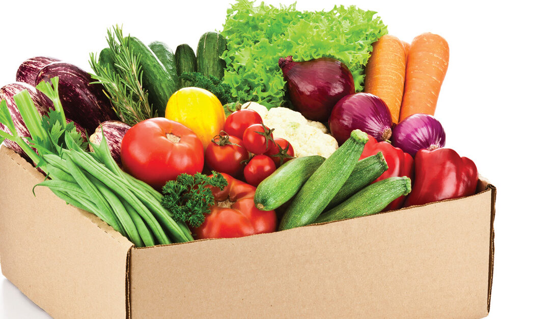 Success Story: Planting a Community Nutrition Initiative